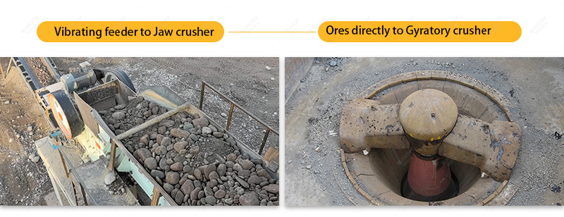 Two different feeding methods.jpg