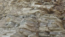 Siliceous shale