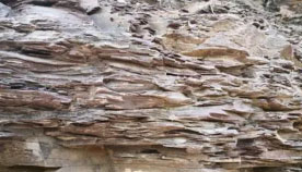 Calcareous shale